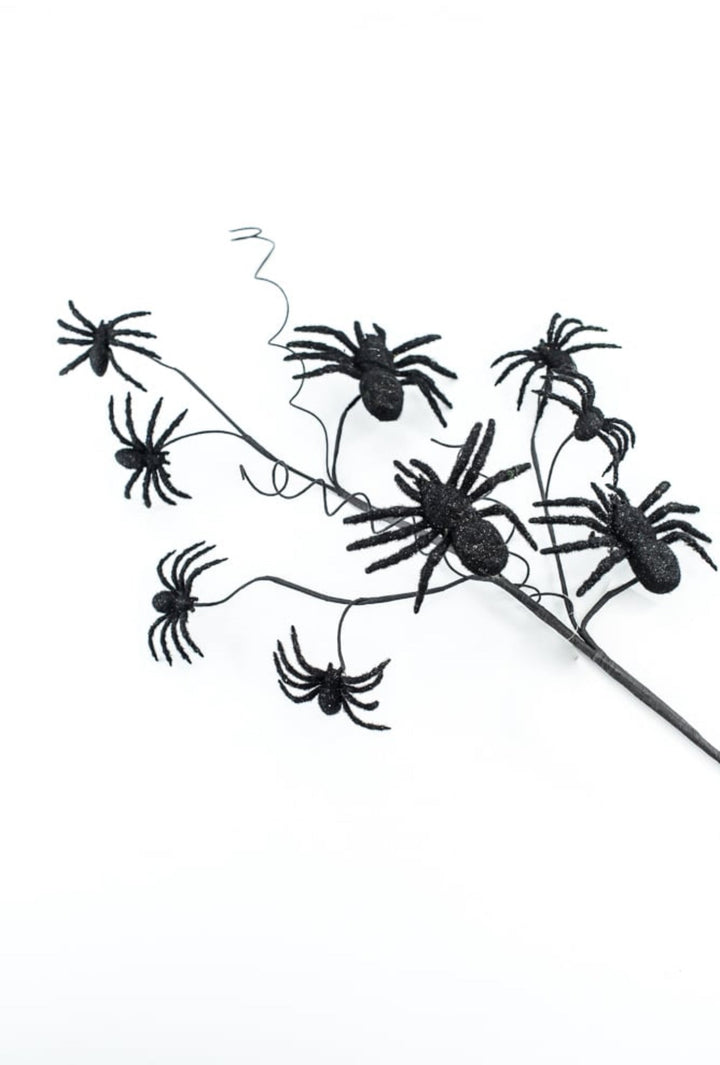 Black Spider Spray - Greenery Market56800BK