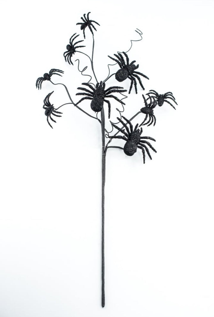 Black Spider Spray - Greenery Market56800BK
