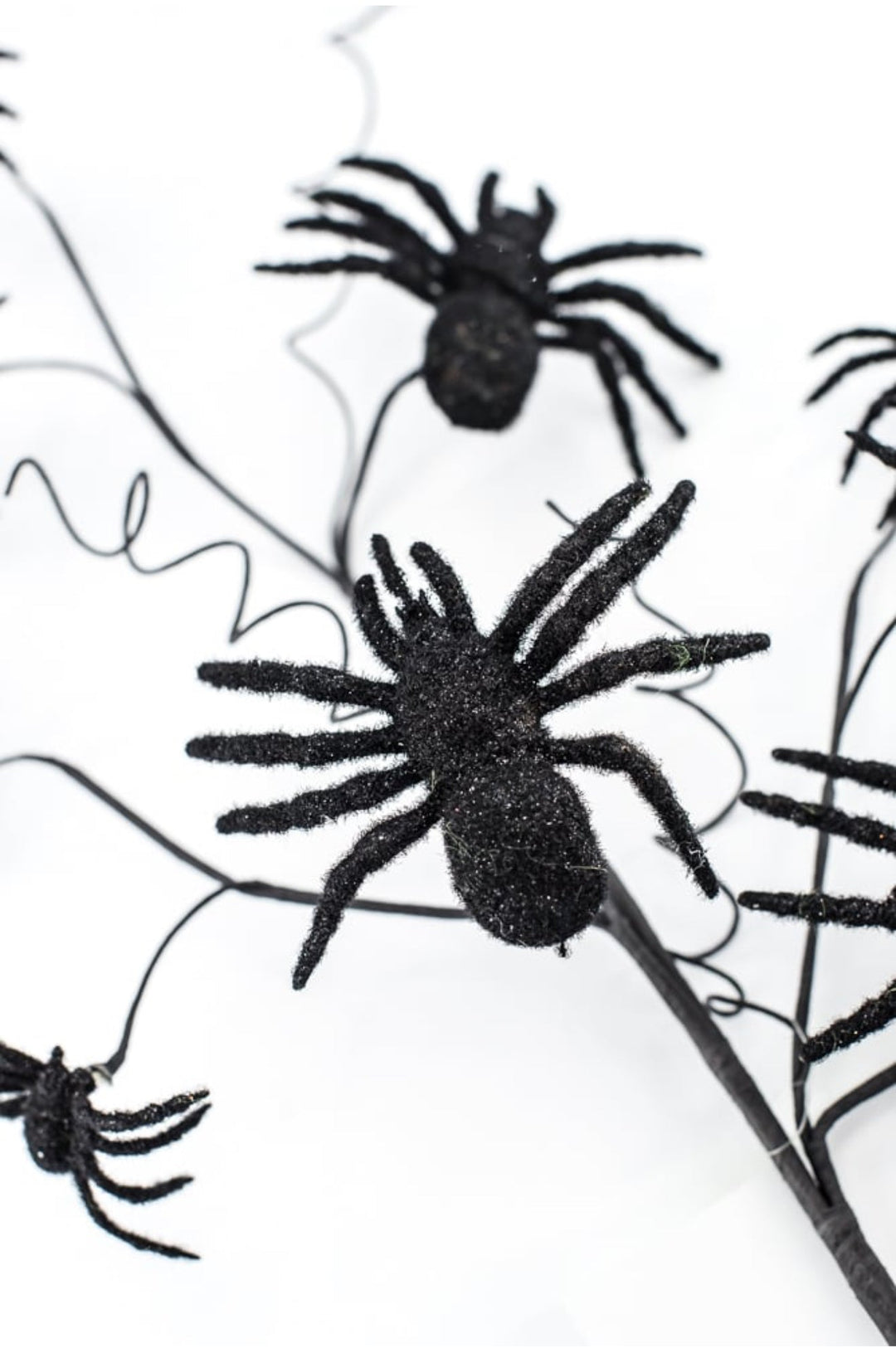 Black Spider Spray - Greenery Market56800BK