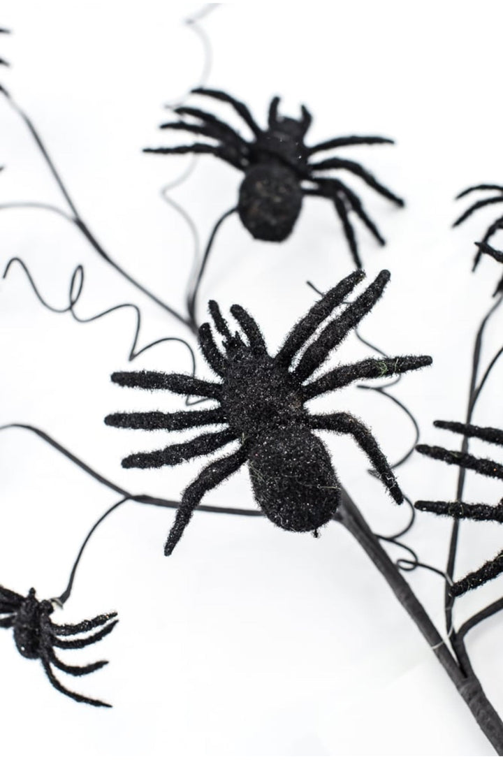 Black Spider Spray - Greenery Market56800BK