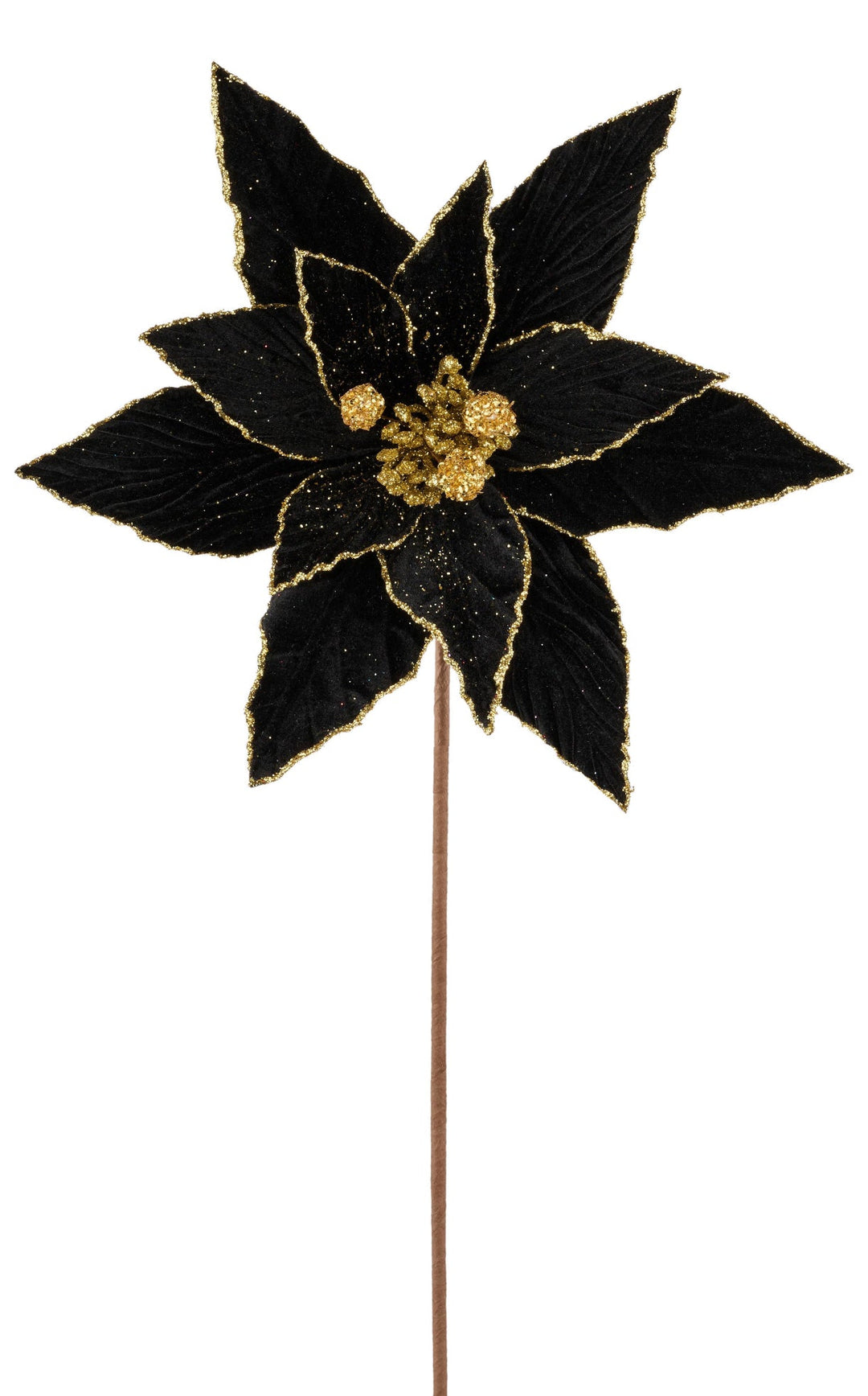 Black velvet and gold poinsettia stem - Greenery MarketXS408798