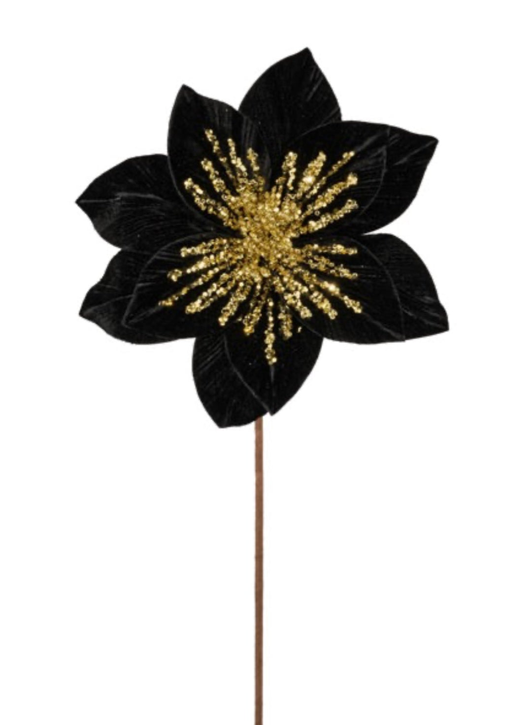 Black velvet poinsettia stem - Greenery MarketXS401502