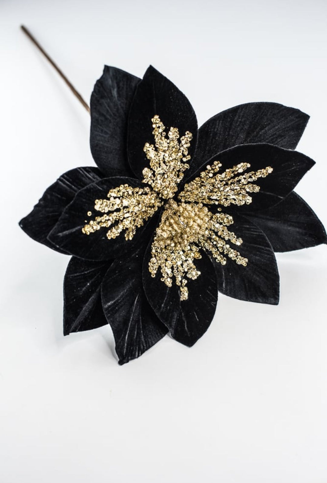 Black velvet poinsettia stem - Greenery MarketXS401502