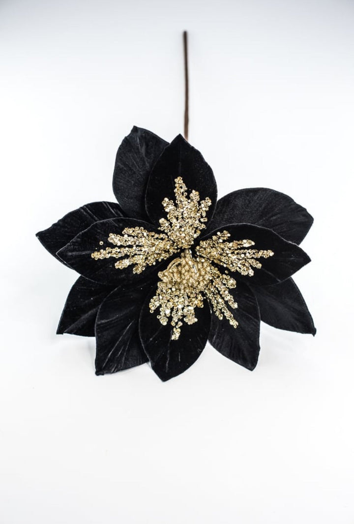 Black velvet poinsettia stem - Greenery MarketXS401502