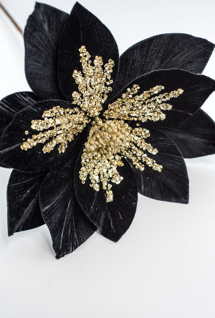 Black velvet poinsettia stem - Greenery MarketXS401502