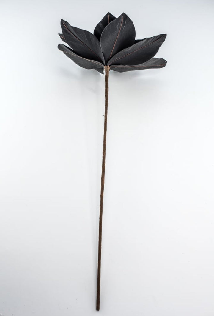 Black velvet poinsettia stem - Greenery MarketXS401502