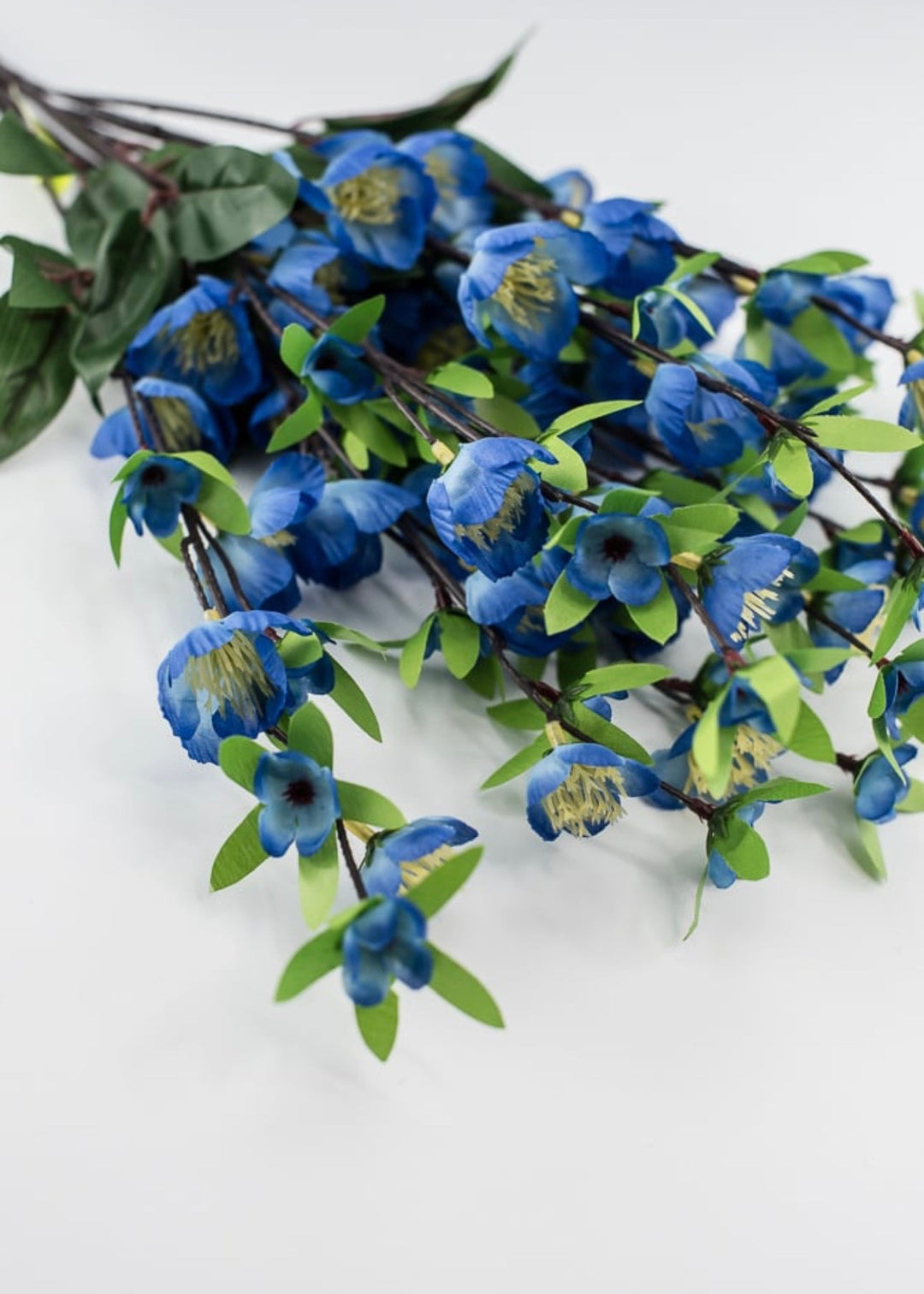 Blue cherry blossom bush - Greenery Marketgreenery35056RYBL