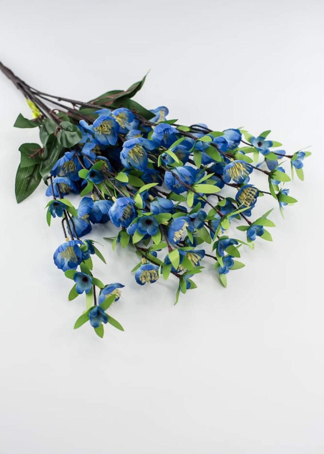 Blue cherry blossom bush - Greenery Marketgreenery35056RYBL