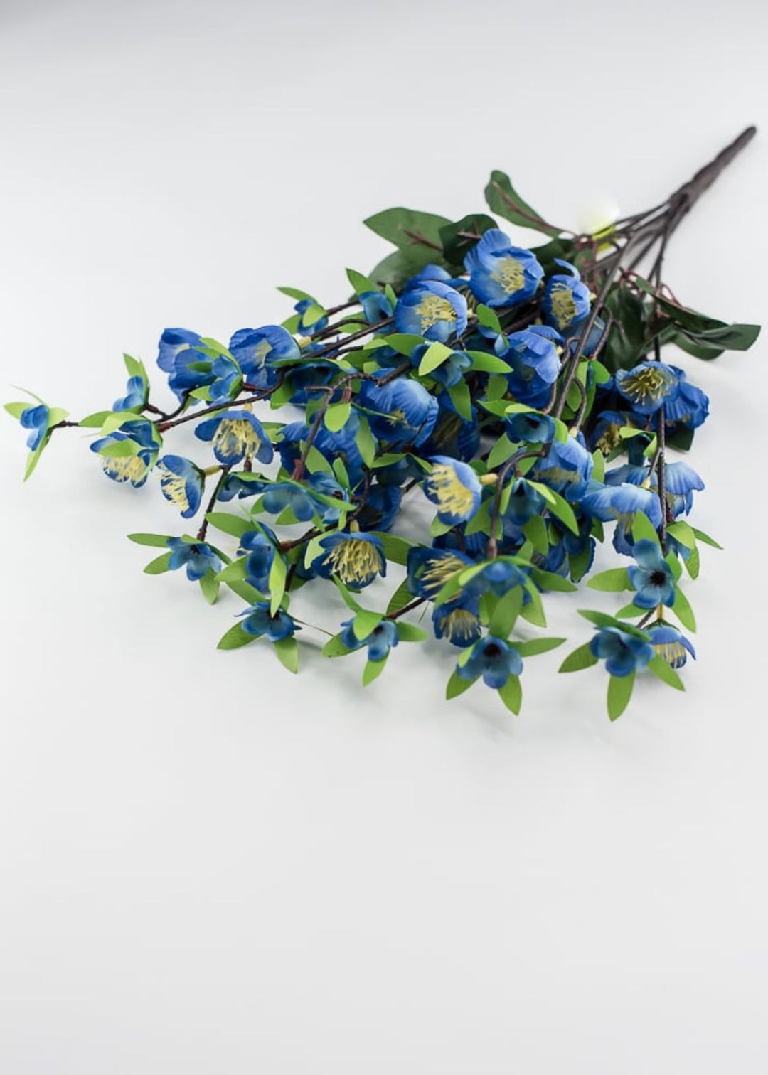 Blue cherry blossom bush - Greenery Marketgreenery35056RYBL