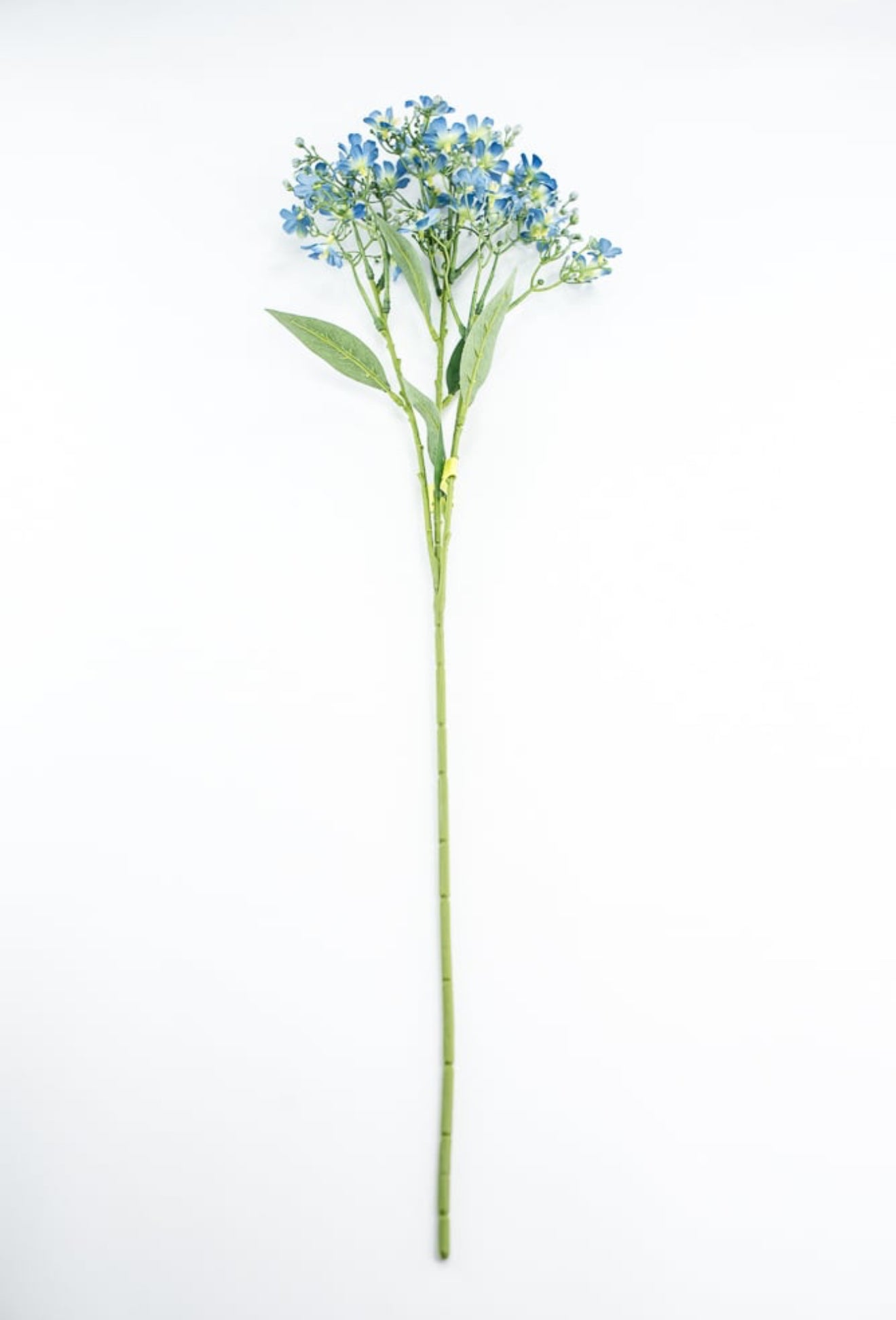 Blue Daphne Flower Spray - Greenery Market