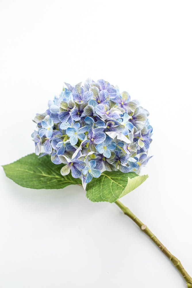 Blue Purple, Hydrangea stem - Greenery MarketMTF24643 PURP