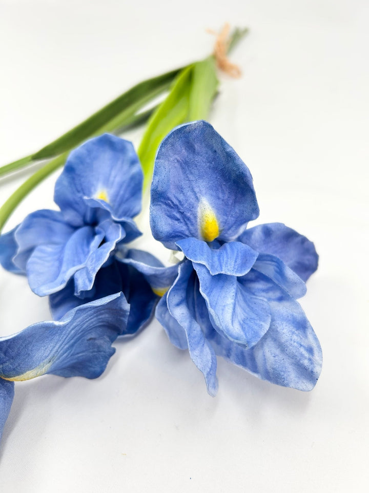 Blue Real Touch Iris Bundle - 23" - Greenery MarketF4602034