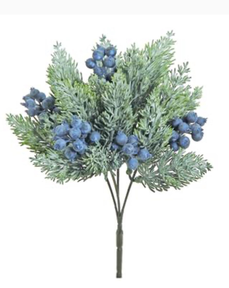 Blueberry and cedar bush - Greenery MarketXd649 - BG