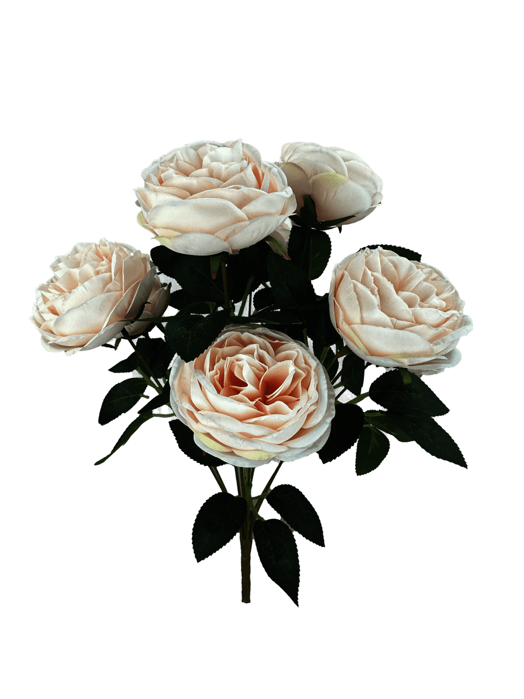 Blush Cabbage Rose Bush - 17.5" - Greenery MarketArtificial Flowers35133BLUSH