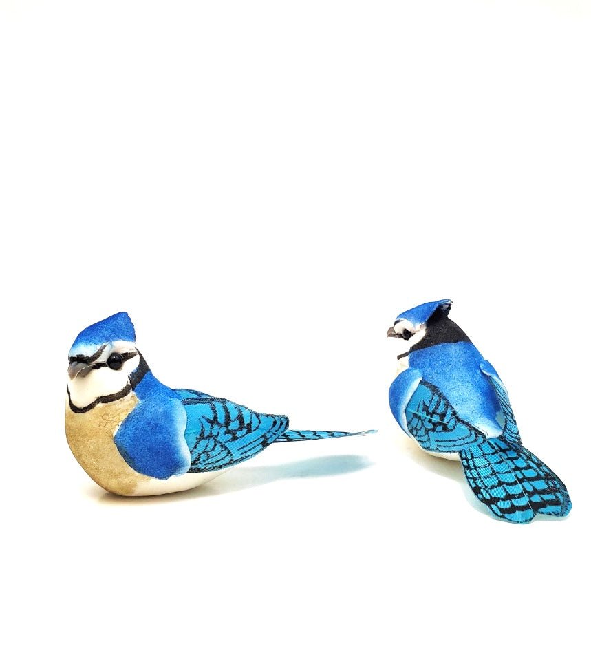 Box of 4” blue jay birds x 12 - Greenery MarketD201261