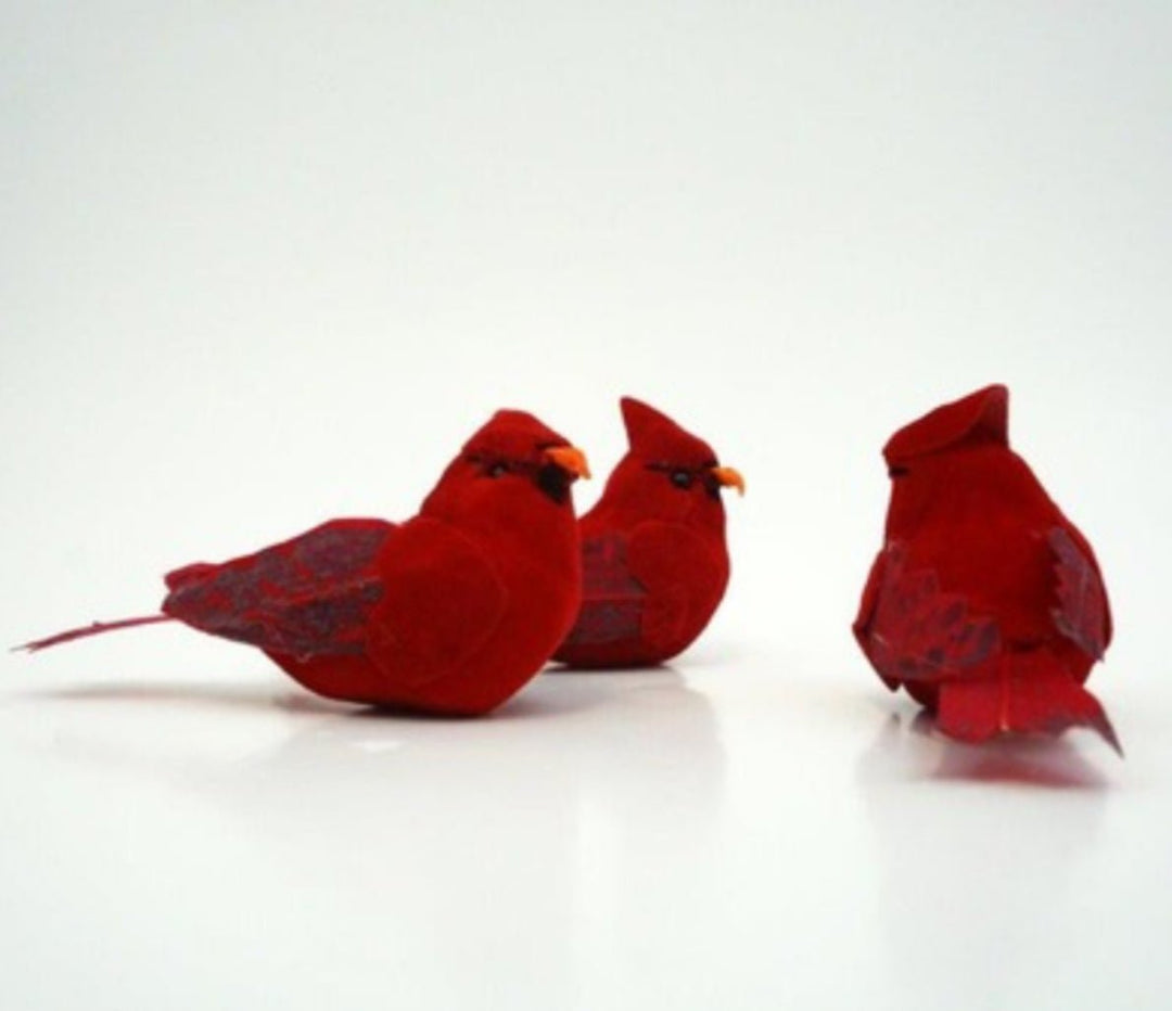 Box of Cardinal red birds x 12 3” - Greenery MarketD99309