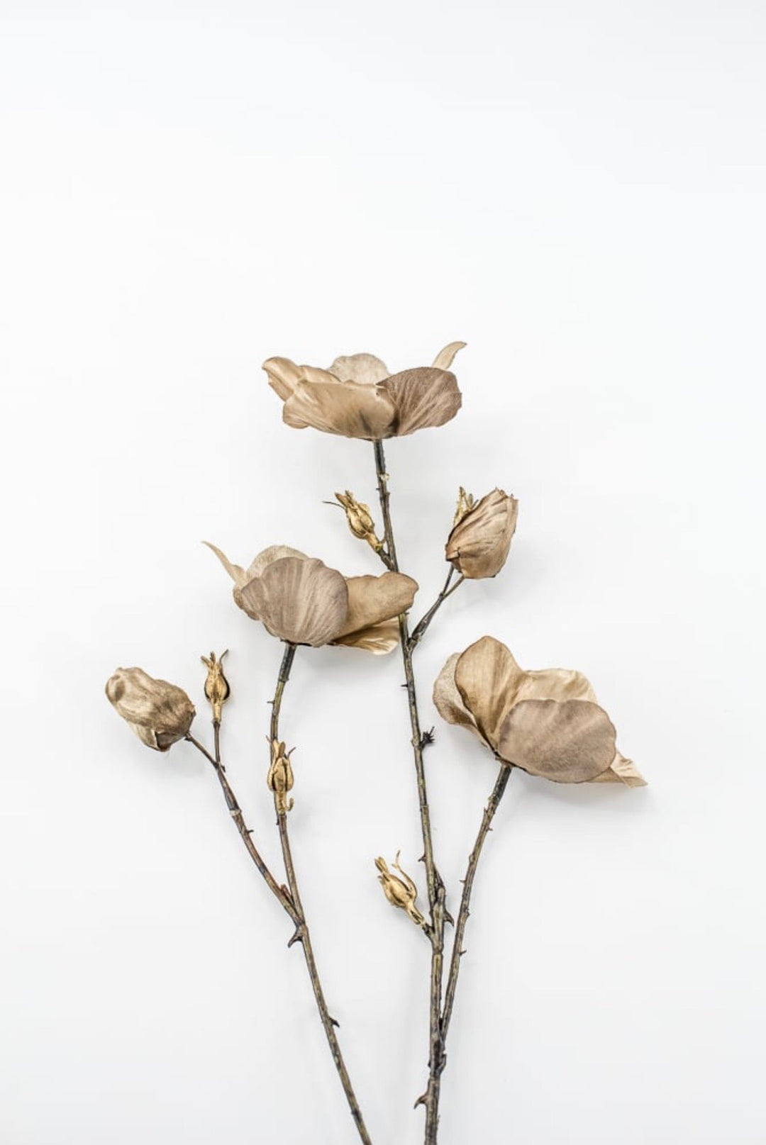 Brown Diamond Velvet Helleborus - 31" - Greenery MarketXFS796-BR/GR