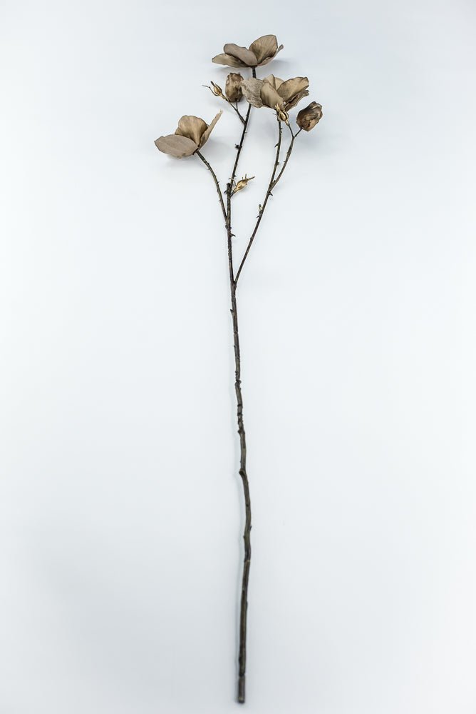 Brown Diamond Velvet Helleborus - 31" - Greenery MarketXFS796-BR/GR