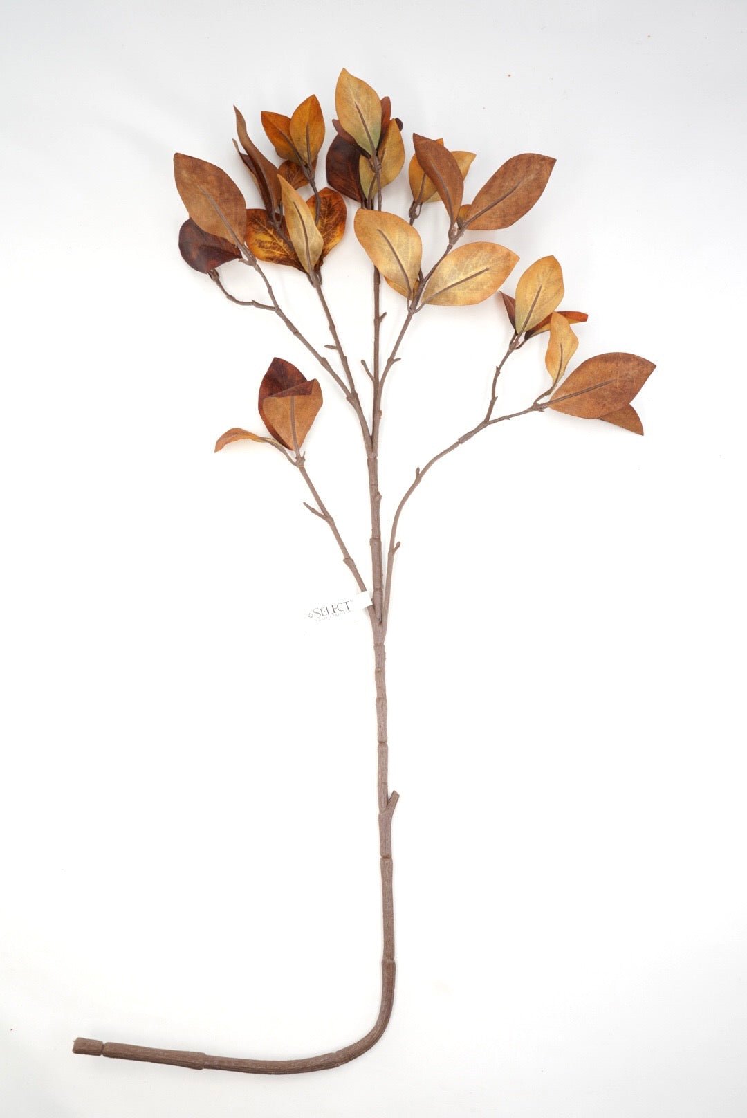 Brown Enkianthus Foliage Spray - 30" - Greenery MarketFL5292-BRN