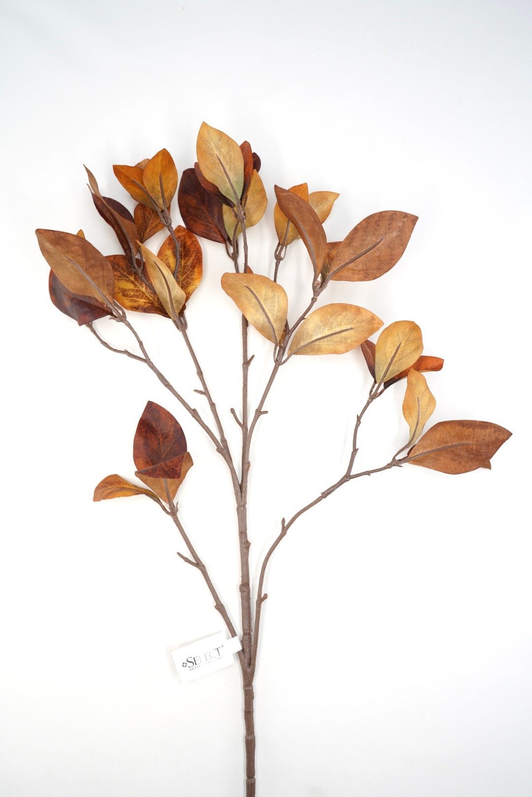 Brown Enkianthus Foliage Spray - 30" - Greenery MarketFL5292-BRN