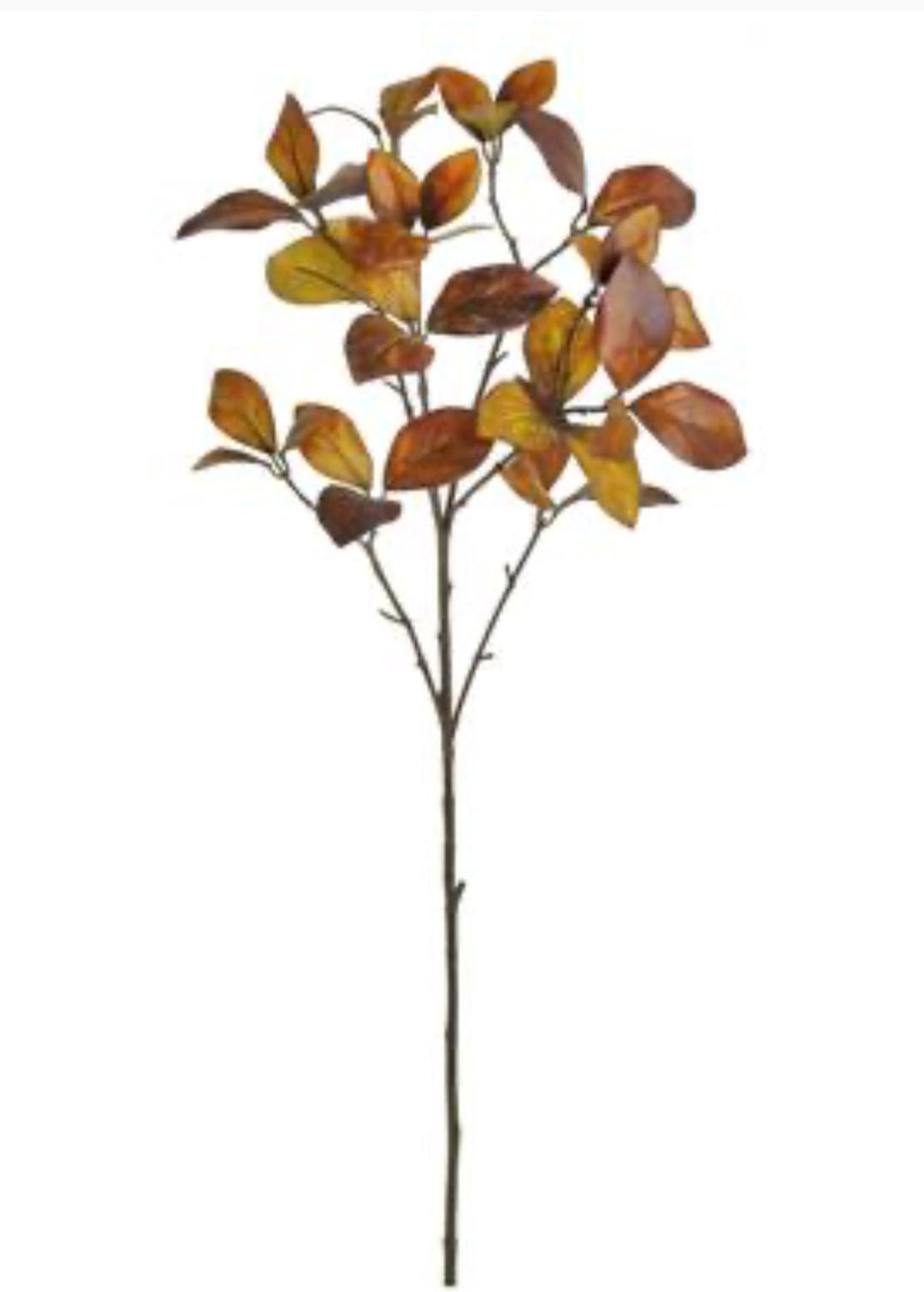 Brown Enkianthus Foliage Spray - 30" - Greenery MarketFL5292-BRN