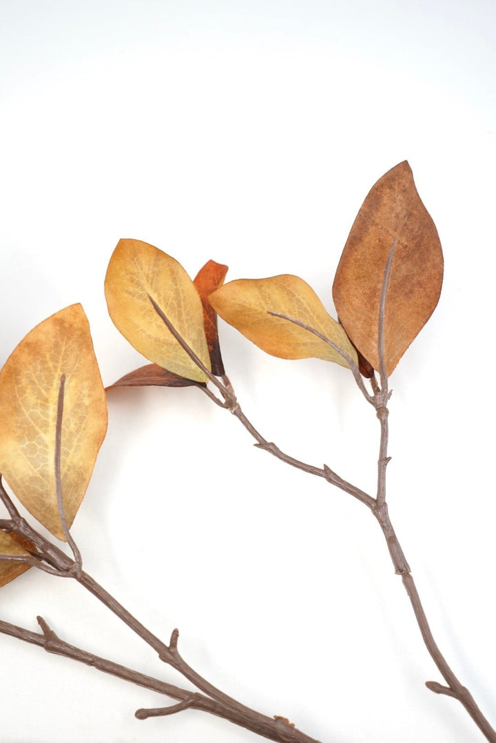 Brown Enkianthus Foliage Spray - 30" - Greenery MarketFL5292-BRN