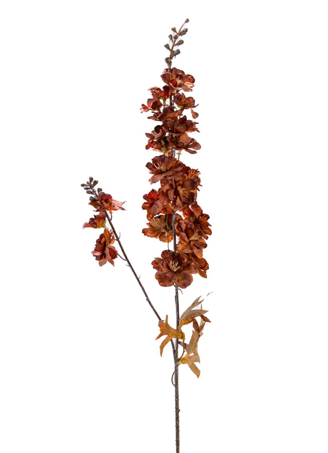 Brown Larkspur Spray - 34" - Greenery Market2288029BR
