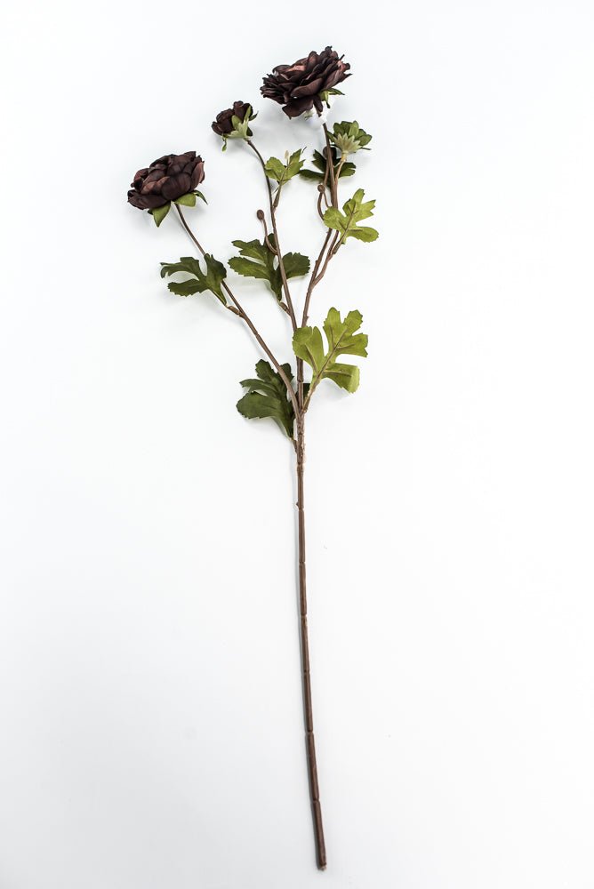 Brown Ruffle Ranunculus Spray - 26" - Greenery Market6591BRN