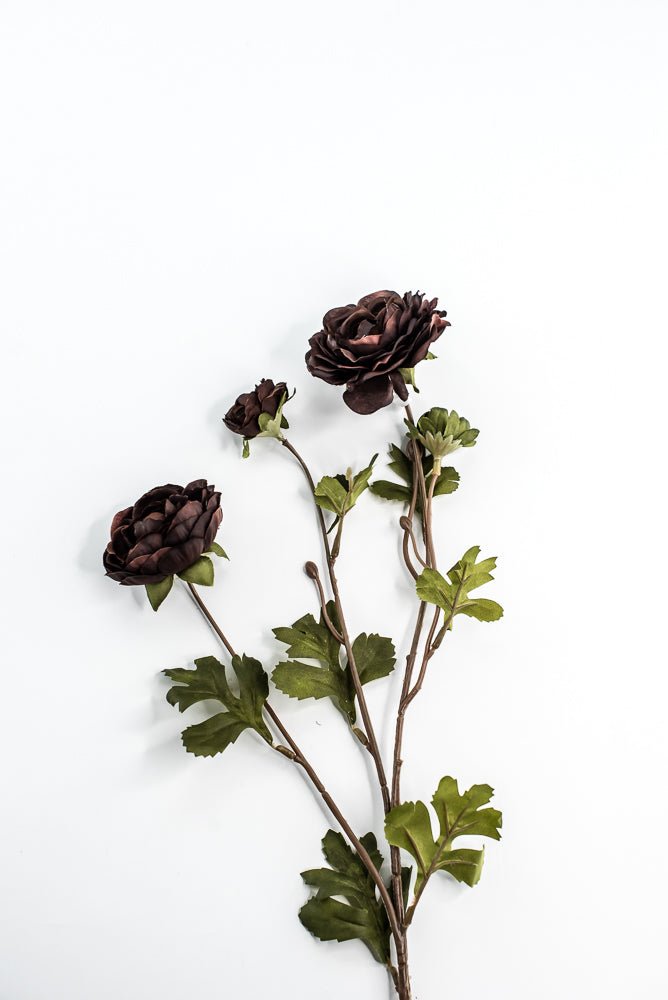 Brown Ruffle Ranunculus Spray - 26" - Greenery Market6591BRN