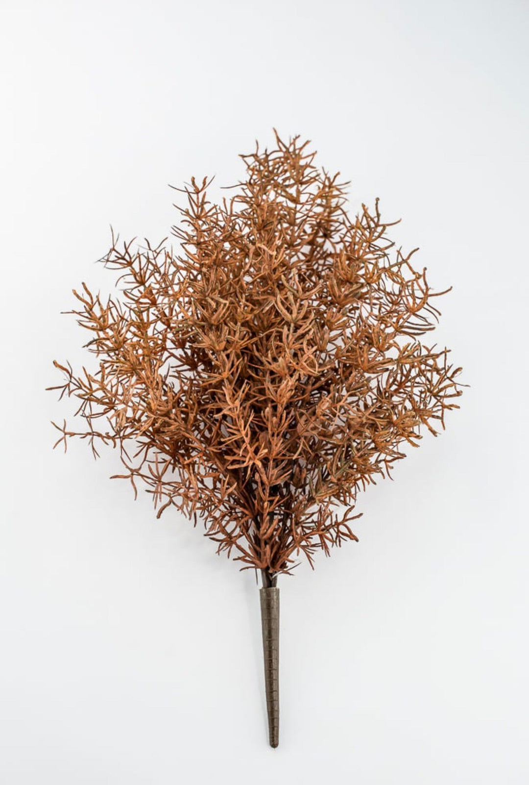 Brown Sprengeri Bush - Greenery Market85362-UV-BRN