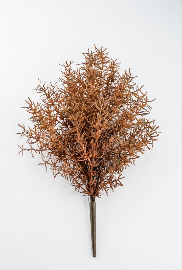 Brown Sprengeri Bush - Greenery Market85362-UV-BRN
