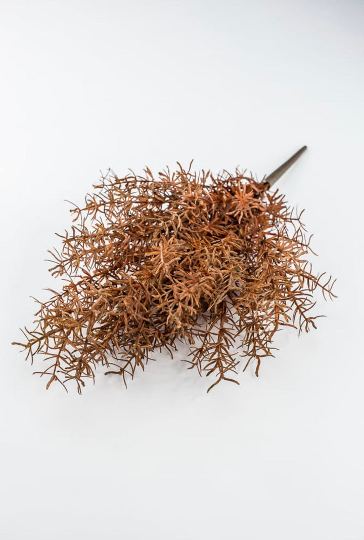 Brown Sprengeri Bush - Greenery Market85362-UV-BRN