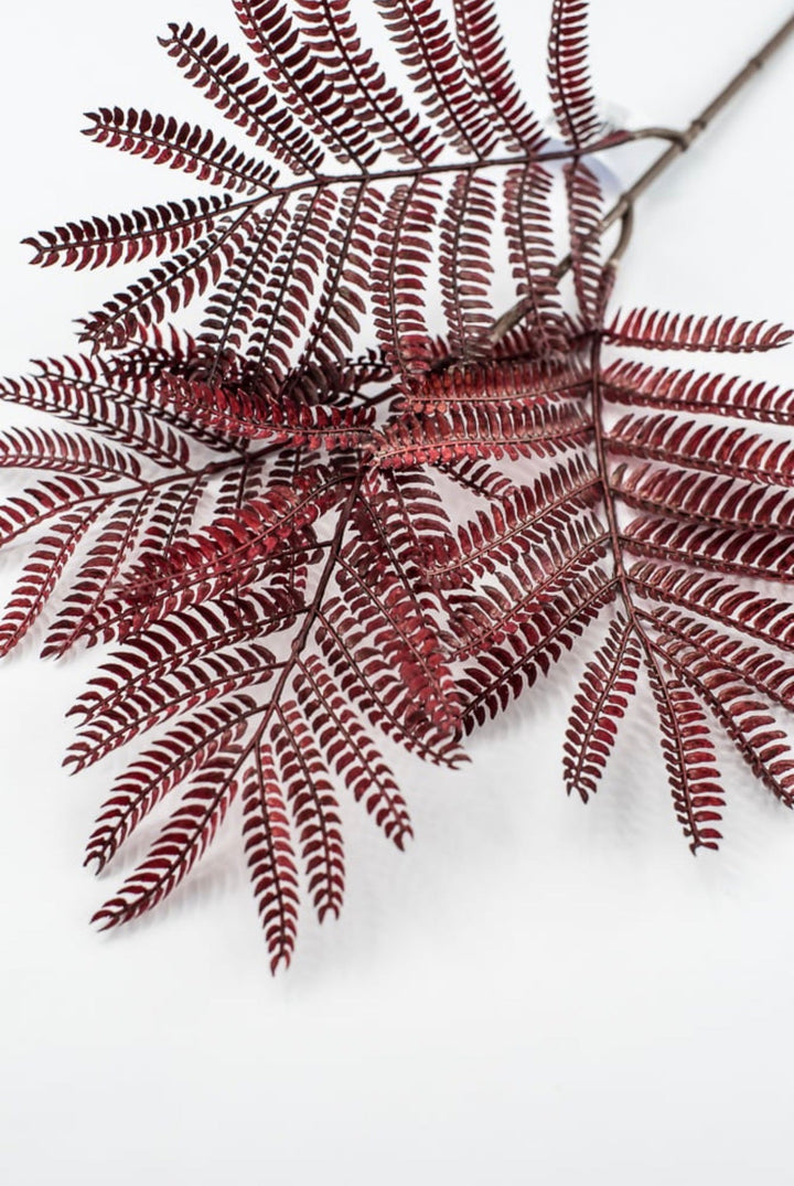 Burgundy Mimosa Leaf Spray - 20" - Greenery MarketPSM641-BU