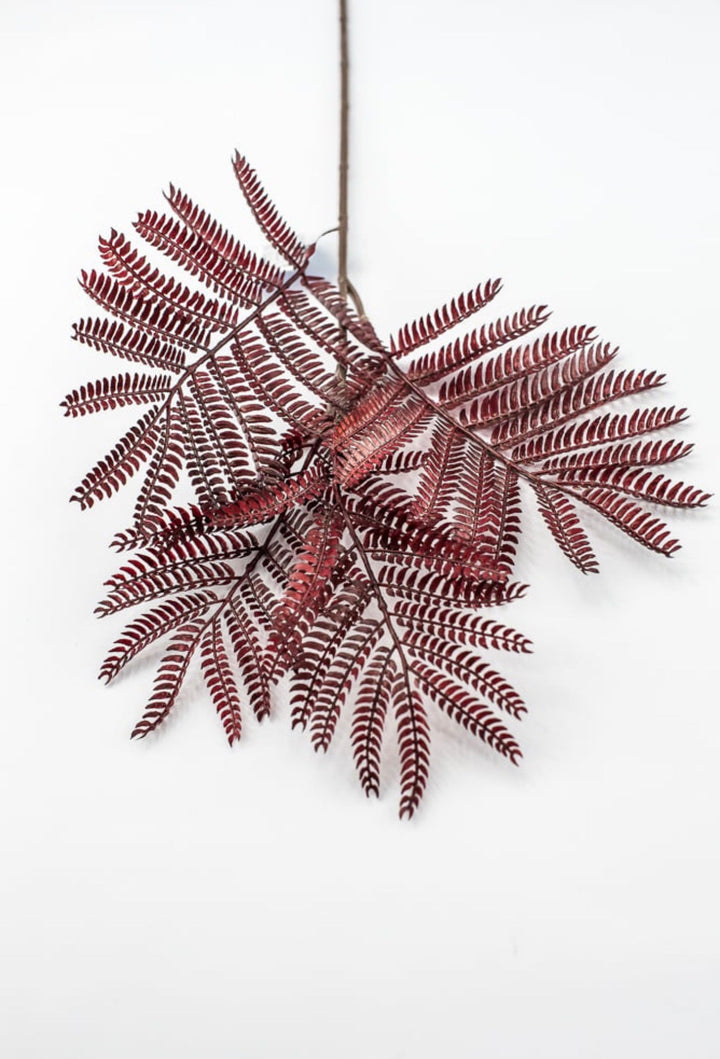 Burgundy Mimosa Leaf Spray - 20" - Greenery MarketPSM641-BU