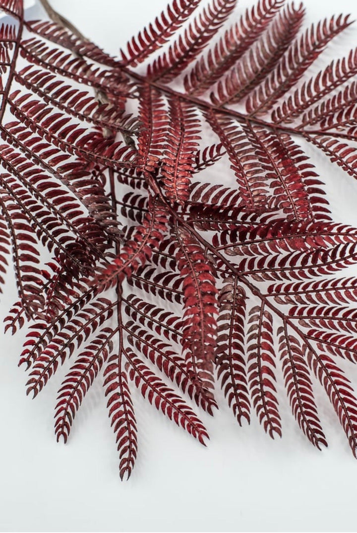 Burgundy Mimosa Leaf Spray - 20" - Greenery MarketPSM641-BU