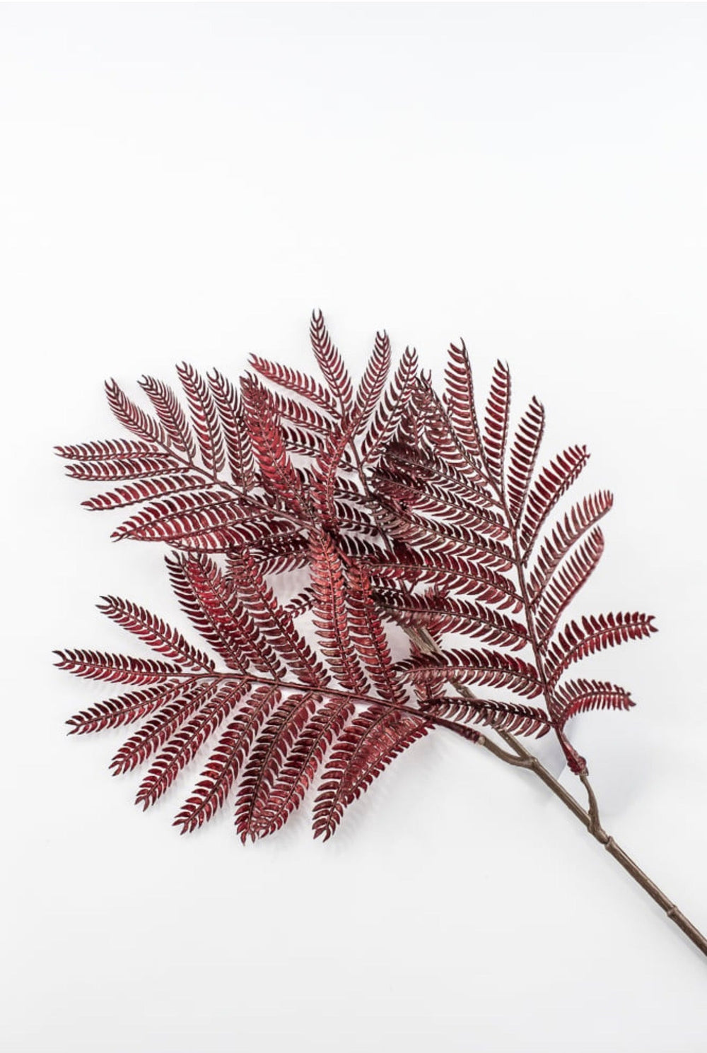 Burgundy Mimosa Leaf Spray - 20" - Greenery MarketPSM641-BU