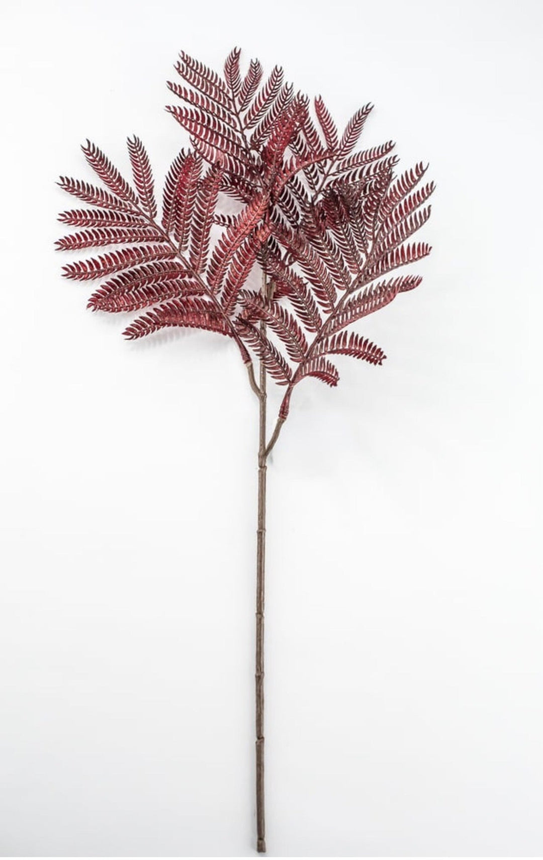 Burgundy Mimosa Leaf Spray - 20" - Greenery MarketPSM641-BU