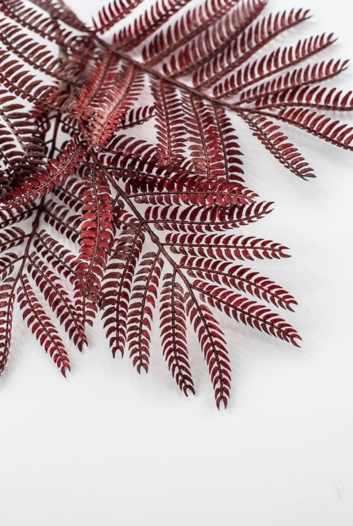 Burgundy Mimosa Leaf Spray - 20" - Greenery MarketPSM641-BU