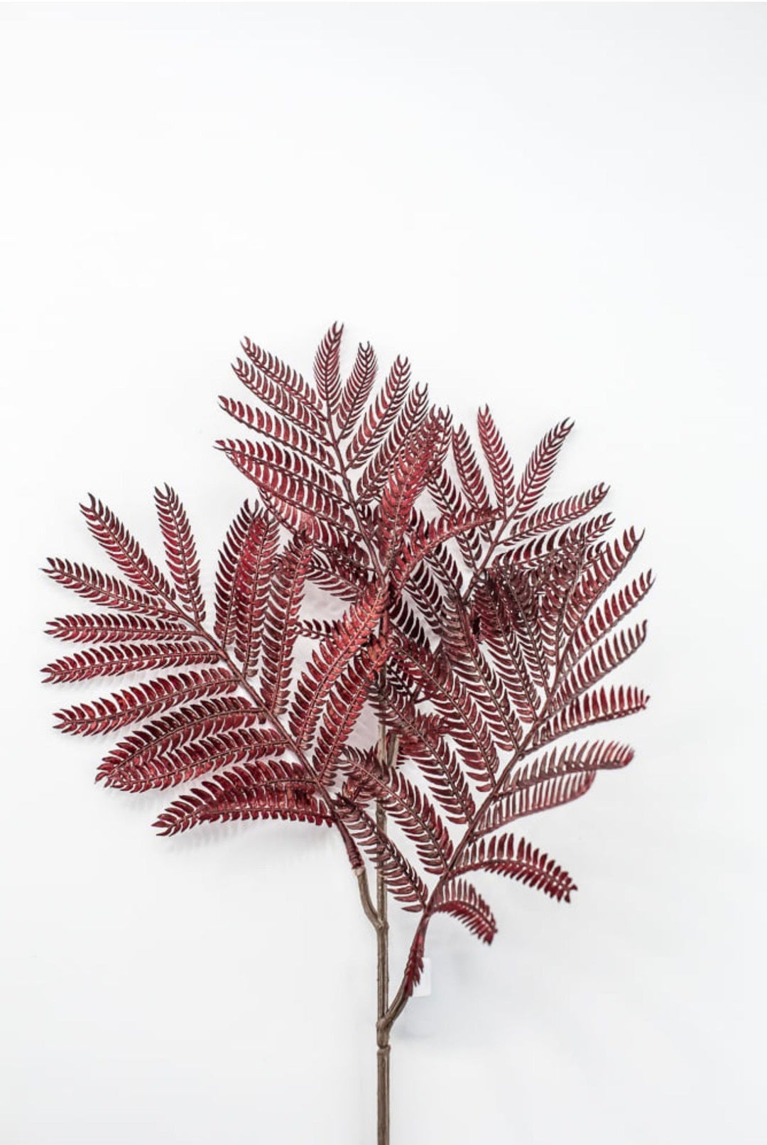 Burgundy Mimosa Leaf Spray - 20" - Greenery MarketPSM641-BU