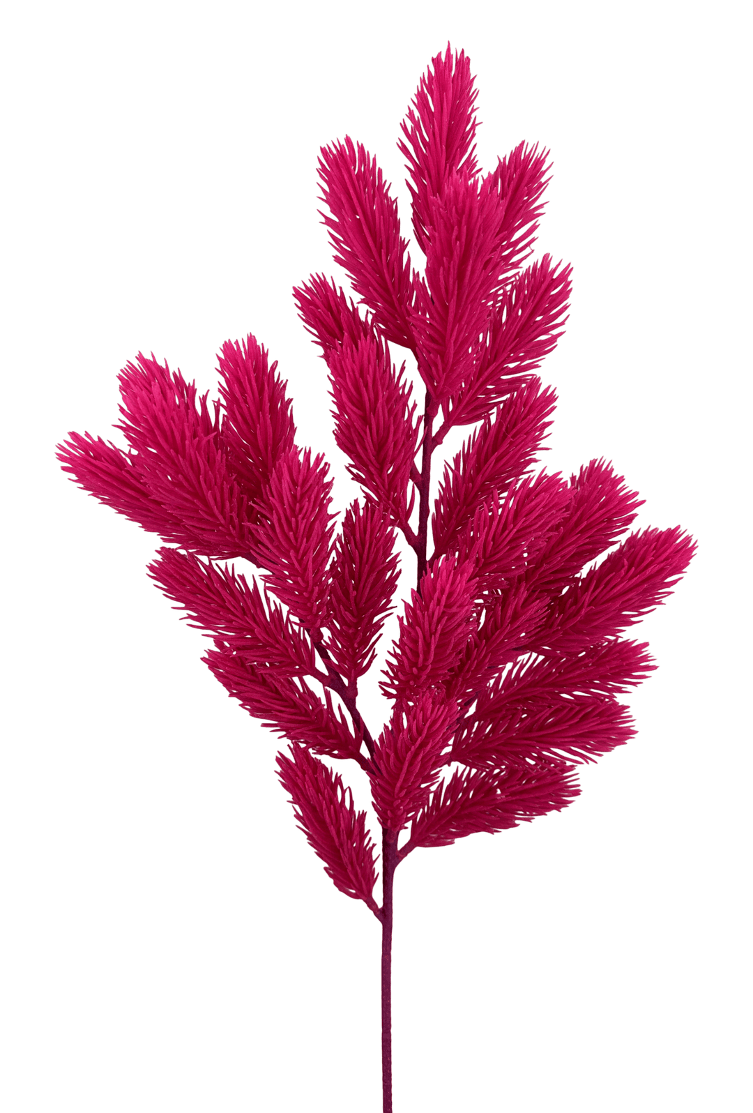 Burgundy Noble Fir Spray - Greenery Market86605BT