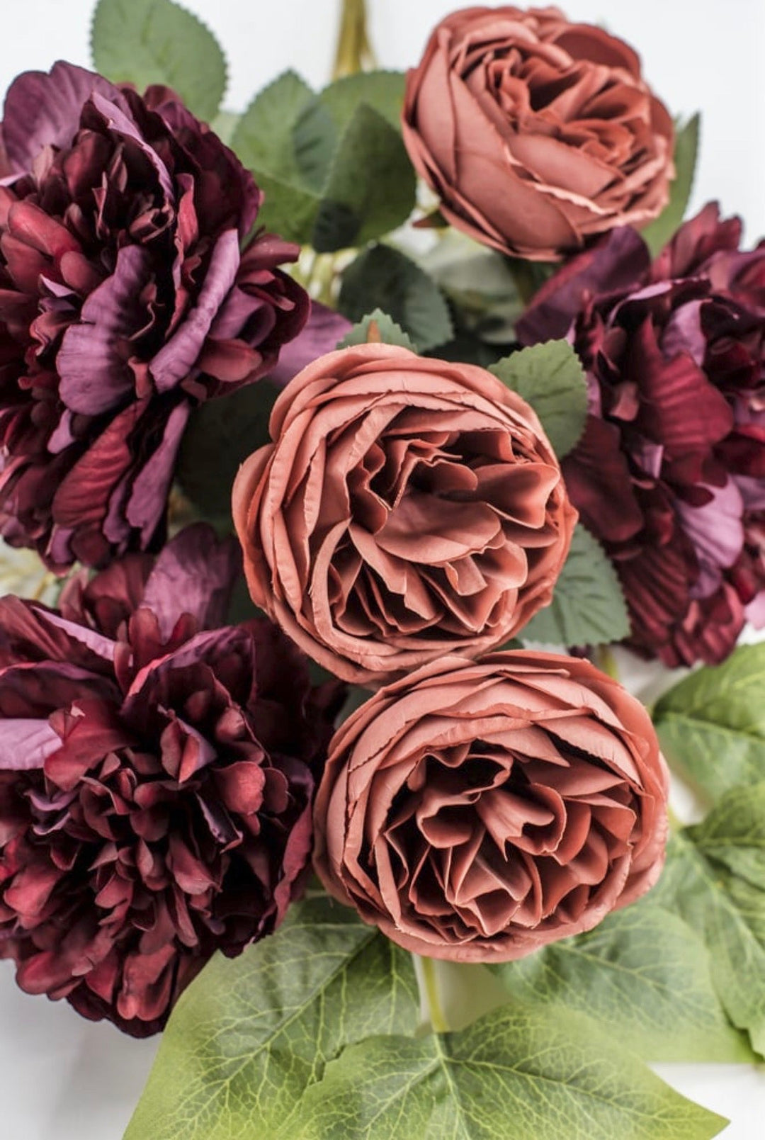 Burgundy & Salmon Peony Cabbage Rose Bush - 20" - Greenery Market23180-RDSAL