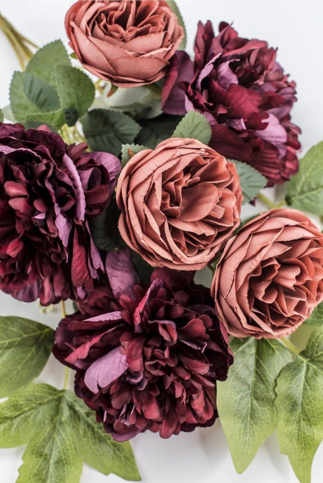 Burgundy & Salmon Peony Cabbage Rose Bush - 20" - Greenery Market23180-RDSAL