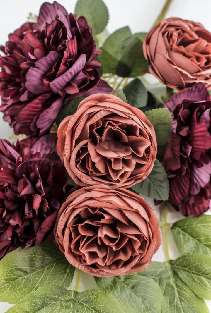 Burgundy & Salmon Peony Cabbage Rose Bush - 20" - Greenery Market23180-RDSAL