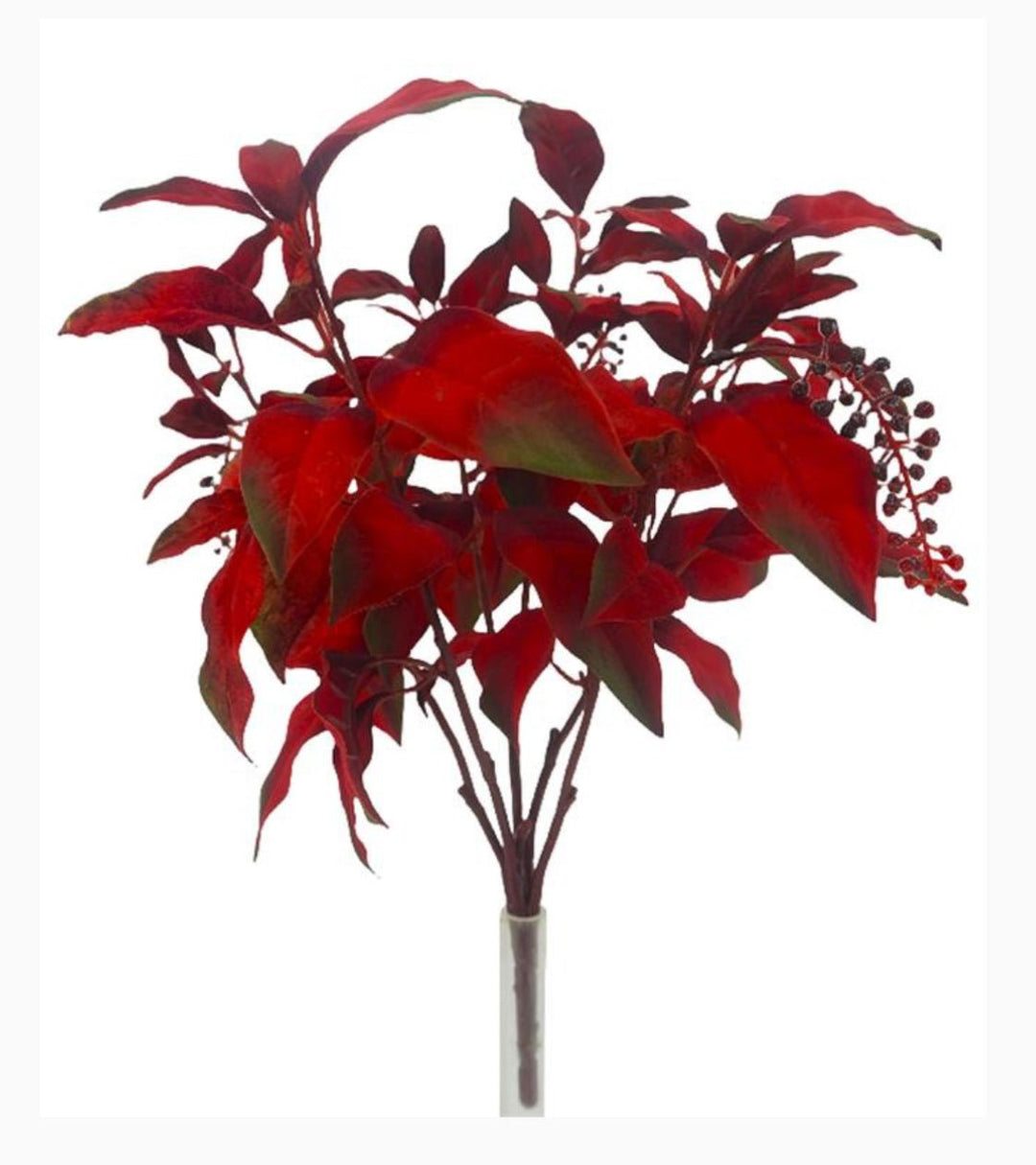 Burgundy Velvet Leaf With Berry Bush - 16" - Greenery MarketXF686BU
