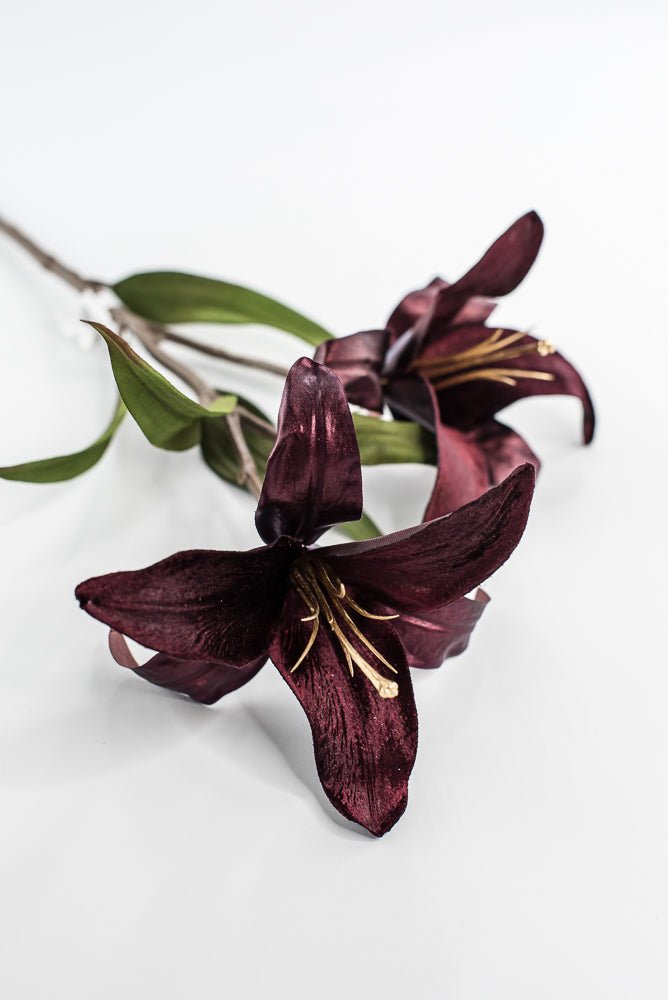 burgundy lily flower Glamour Velvet Lily Spray