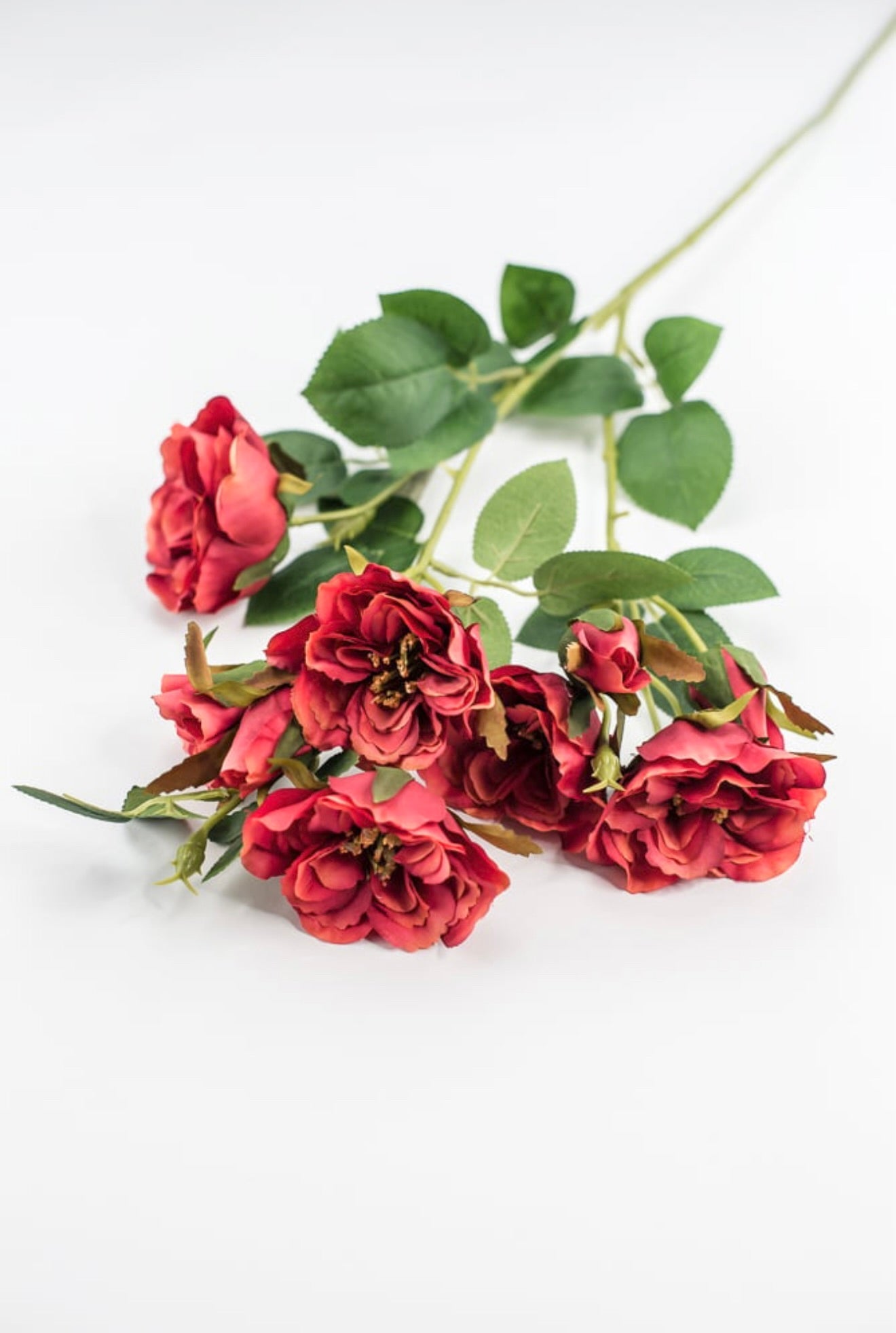 Cabbage rose spray - red orange - Greenery Market
