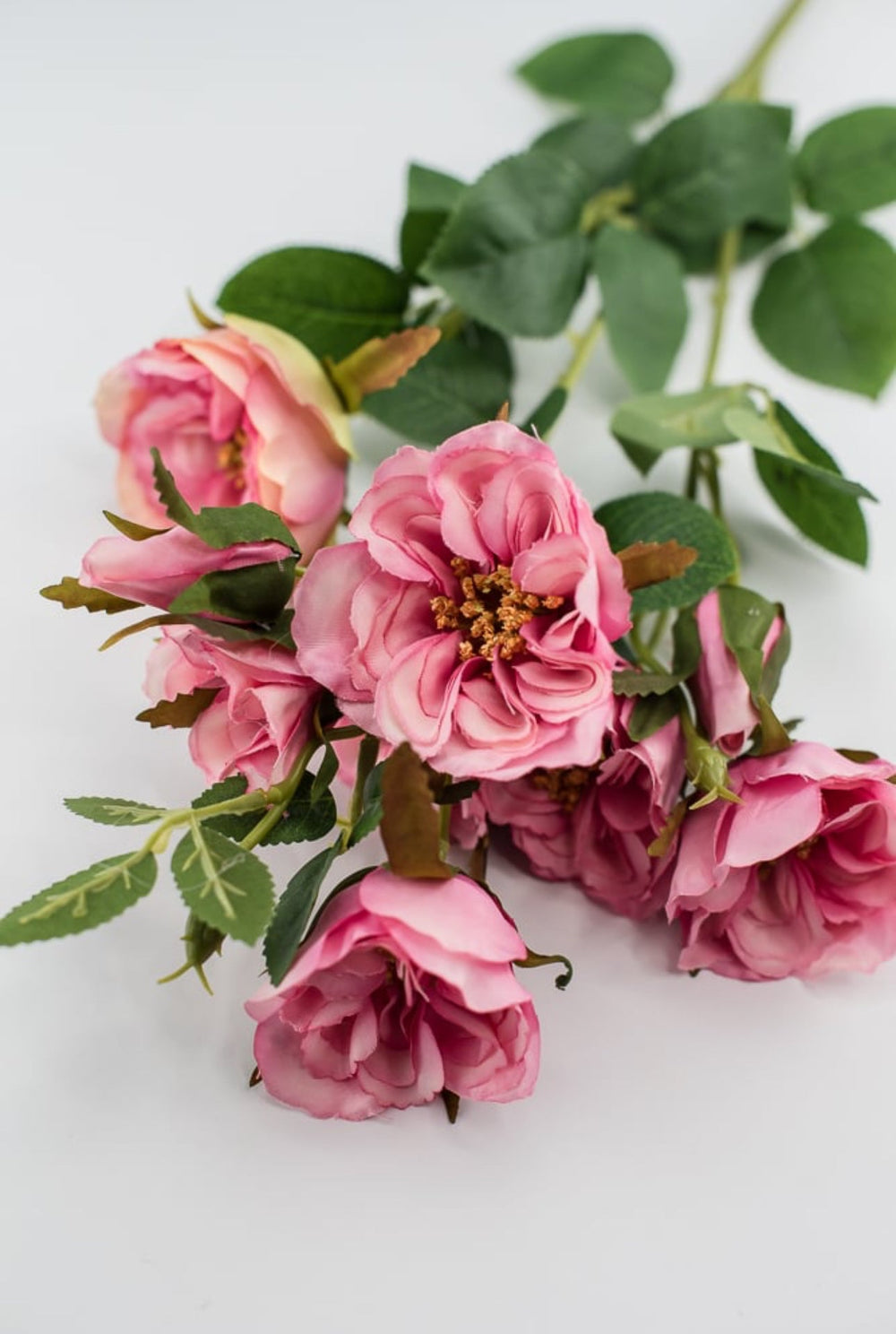 Cabbage rose spray - rose pink - Greenery Market5977RS