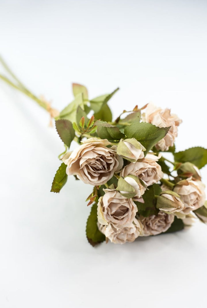 Candlelight rose bundle - Greenery Market27928