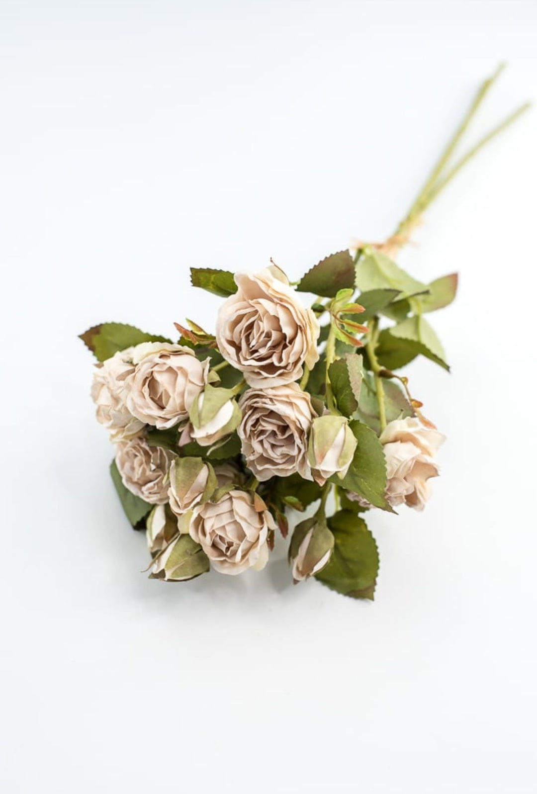 Candlelight rose bundle - Greenery Market27928