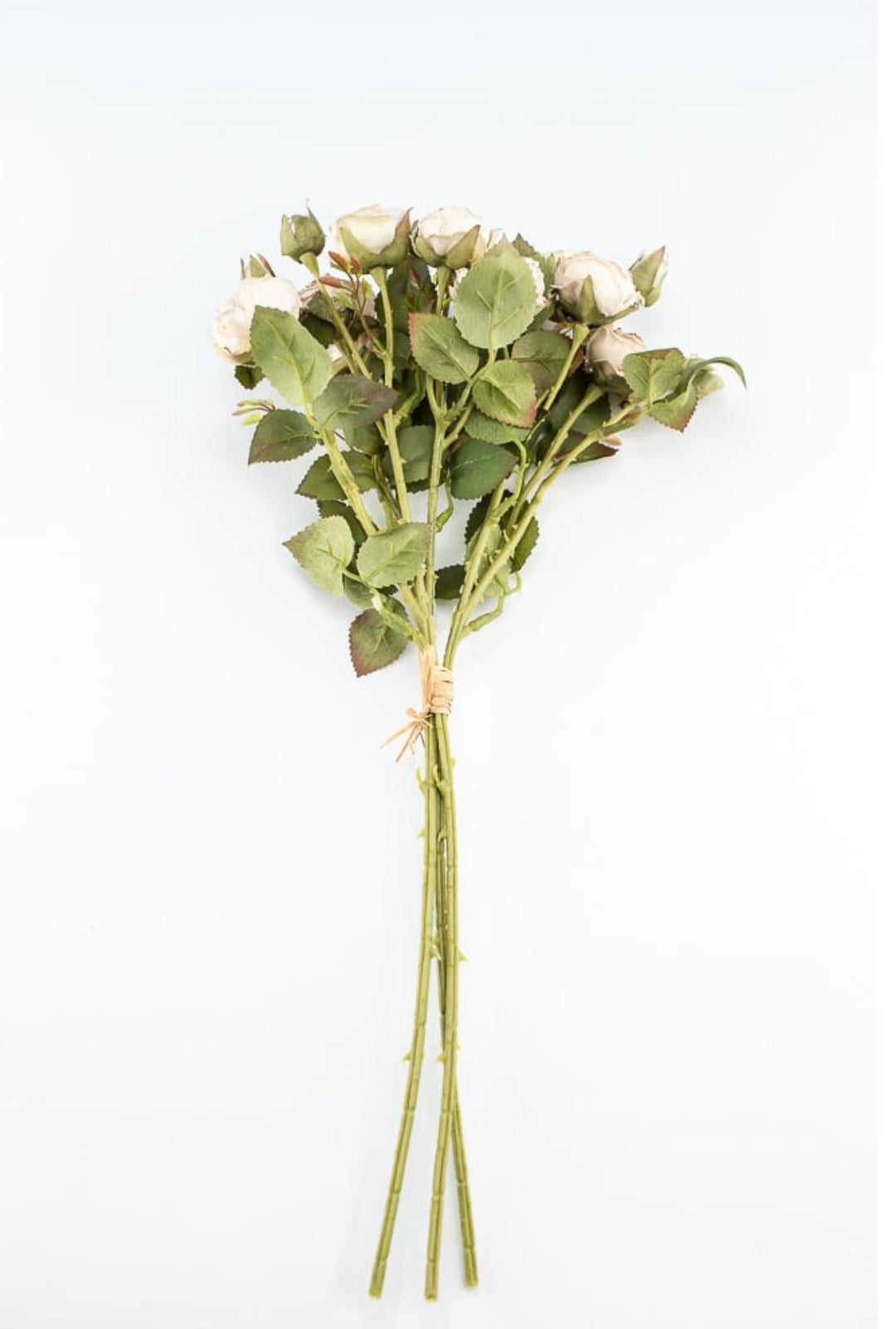 Candlelight rose bundle - Greenery Market27928